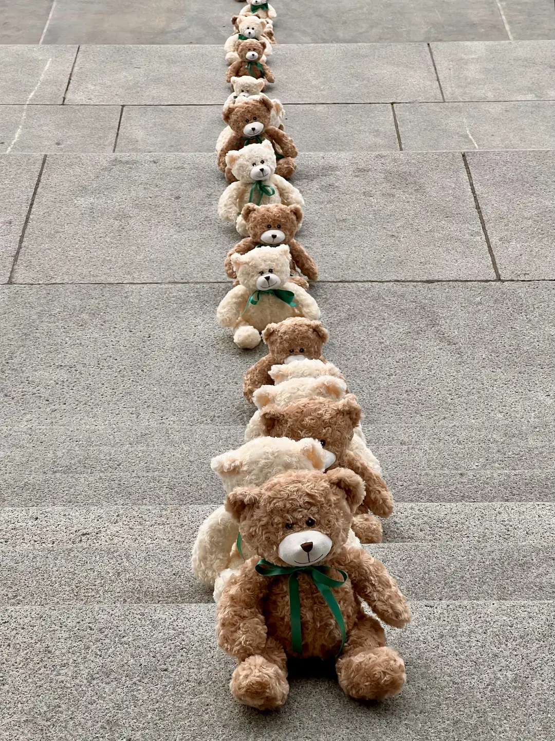 A line of teddy bears on steps, part of the SACE Buy a Bear campaign