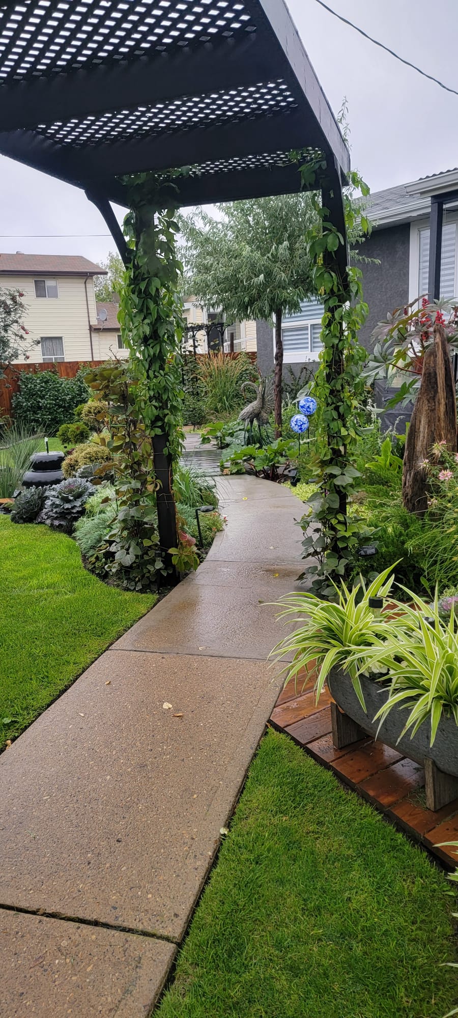 Backyard pergola walkway concept by Interiors on Main